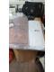 IMG-70340bc599e822395f71eb0ddfc22bc5-V.jpg