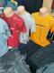 IMG-b41768aa42f74782ebc2b7f1af7bd83e-V.jpg
