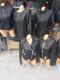 IMG-bc3eed5be4cc69ced66a4abc244b5ce2-V.jpg